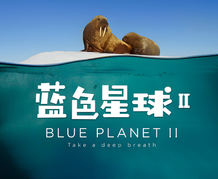 BBC纪录片蓝色星球第二季免费观看完整版下载夸克网盘资源